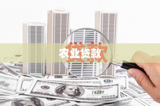 潍城农业贷款