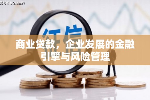 潍城商业贷款，企业发展的金融引擎与风险管理
