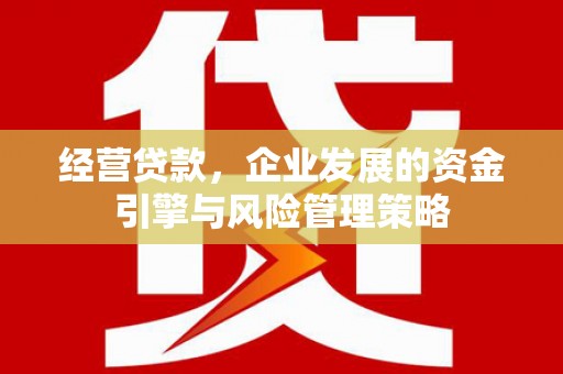 潍城经营贷款，企业发展的资金引擎与风险管理策略