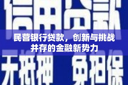 潍城民营银行贷款，创新与挑战并存的金融新势力