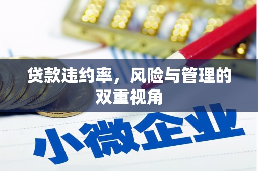 潍城贷款违约率，风险与管理的双重视角