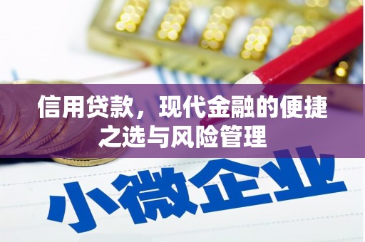 潍城信用贷款，现代金融的便捷之选与风险管理