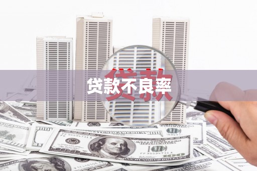 潍城贷款不良率