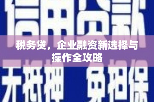 潍城税务贷，企业融资新选择与操作全攻略