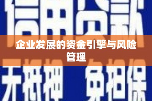 潍城企业发展的资金引擎与风险管理