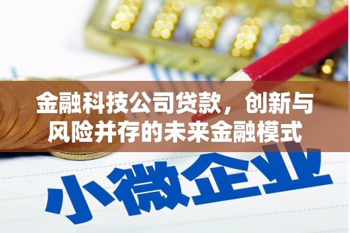 潍城金融科技公司贷款，创新与风险并存的未来金融模式