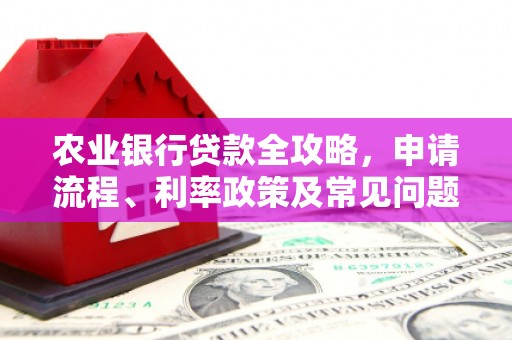 潍城农业银行贷款全攻略，申请流程、利率政策及常见问题解析