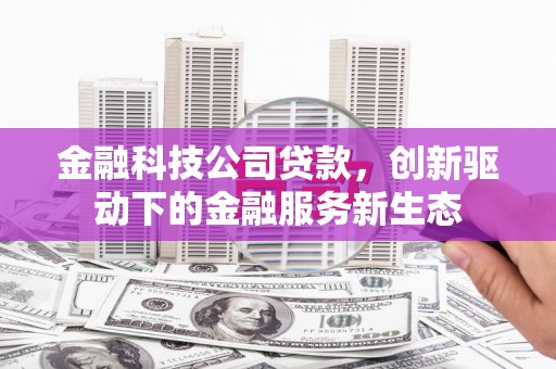 潍城金融科技公司贷款，创新驱动下的金融服务新生态