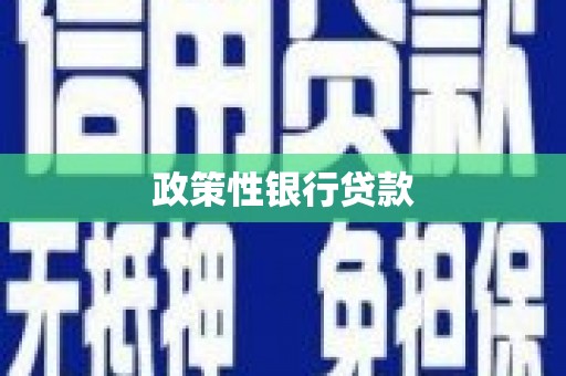 潍城政策性银行贷款