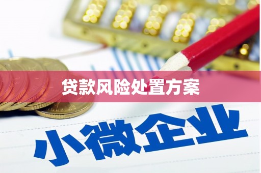 潍城贷款风险处置方案
