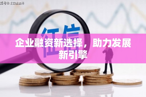 潍城企业融资新选择，助力发展新引擎