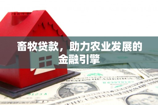 潍城畜牧贷款，助力农业发展的金融引擎