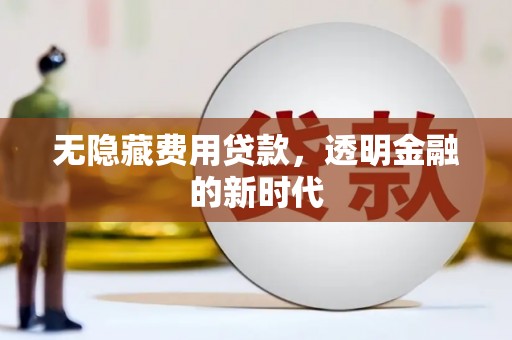 潍城无隐藏费用贷款，透明金融的新时代