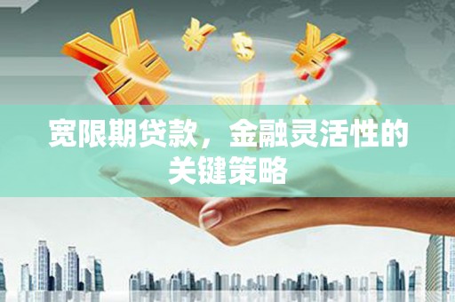 潍城宽限期贷款，金融灵活性的关键策略