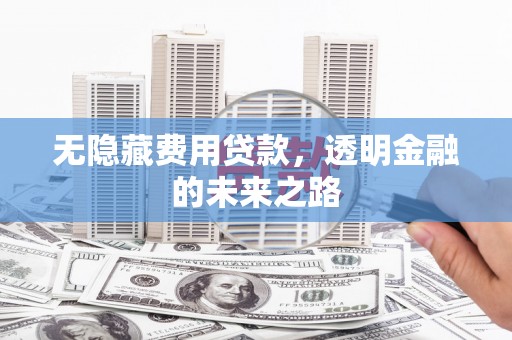 潍城无隐藏费用贷款，透明金融的未来之路