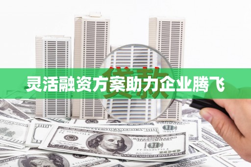 潍城灵活融资方案助力企业腾飞