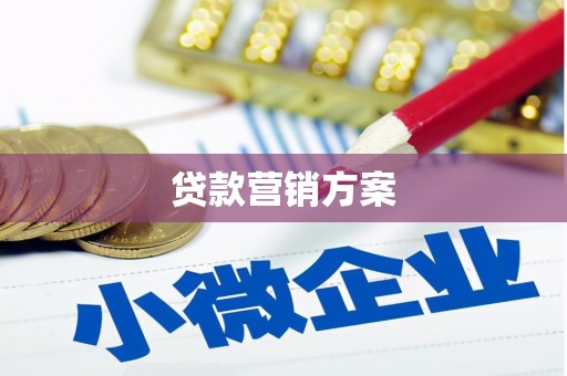 潍城贷款营销方案