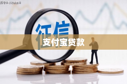 潍城支付宝贷款