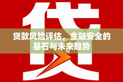 潍城贷款风险评估，金融安全的基石与未来趋势