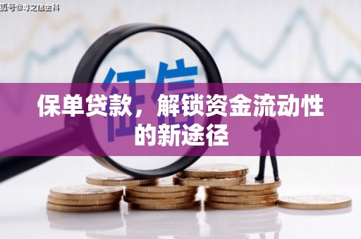潍城保单贷款，解锁资金流动性的新途径