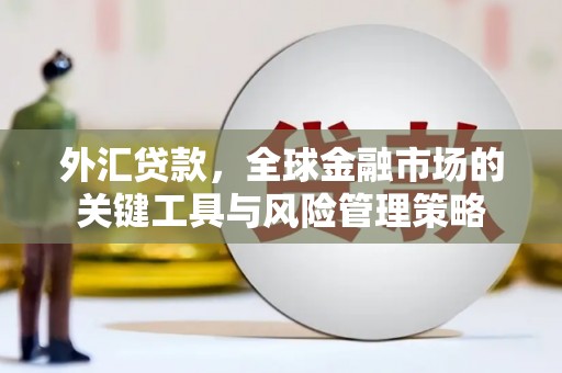 潍城外汇贷款，全球金融市场的关键工具与风险管理策略
