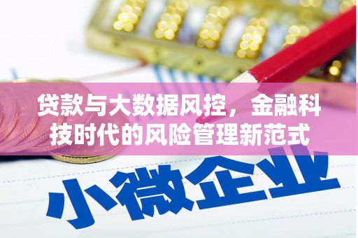 潍城贷款与大数据风控，金融科技时代的风险管理新范式