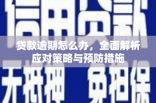 潍城贷款逾期怎么办，全面解析应对策略与预防措施