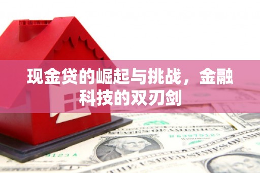 潍城现金贷的崛起与挑战，金融科技的双刃剑