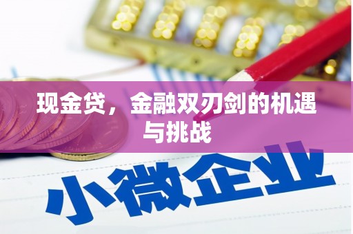 潍城现金贷，金融双刃剑的机遇与挑战