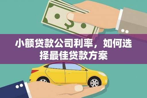 潍城小额贷款公司利率，如何选择最佳贷款方案
