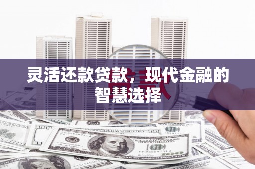 潍城灵活还款贷款，现代金融的智慧选择