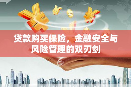 潍城贷款购买保险，金融安全与风险管理的双刃剑