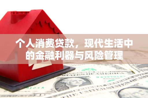 潍城个人消费贷款，现代生活中的金融利器与风险管理