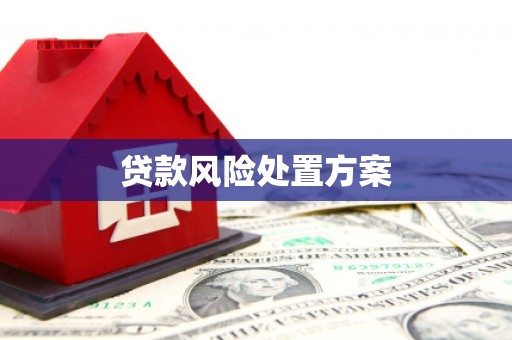 潍城贷款风险处置方案