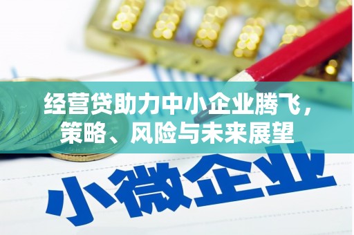 潍城经营贷助力中小企业腾飞，策略、风险与未来展望