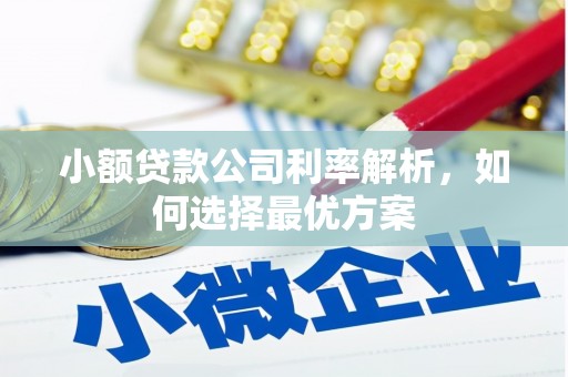潍城小额贷款公司利率解析，如何选择最优方案