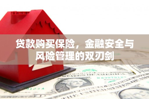 潍城贷款购买保险，金融安全与风险管理的双刃剑