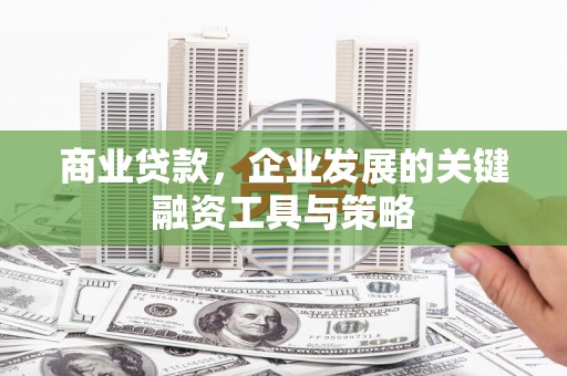 潍城商业贷款，企业发展的关键融资工具与策略