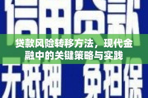潍城贷款风险转移方法，现代金融中的关键策略与实践