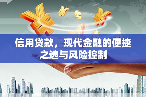 潍城信用贷款，现代金融的便捷之选与风险控制