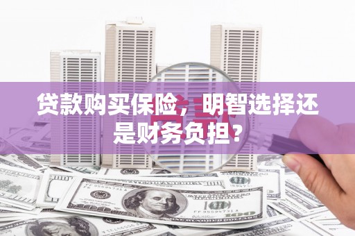 潍城贷款购买保险，明智选择还是财务负担？