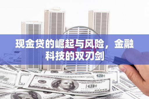 潍城现金贷的崛起与风险，金融科技的双刃剑