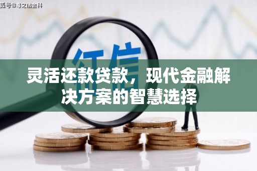 潍城灵活还款贷款，现代金融解决方案的智慧选择