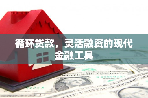 潍城循环贷款，灵活融资的现代金融工具