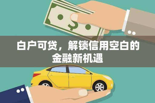 潍城白户可贷，解锁信用空白的金融新机遇