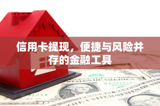 潍城信用卡提现，便捷与风险并存的金融工具