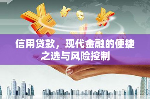 潍城信用贷款，现代金融的便捷之选与风险控制