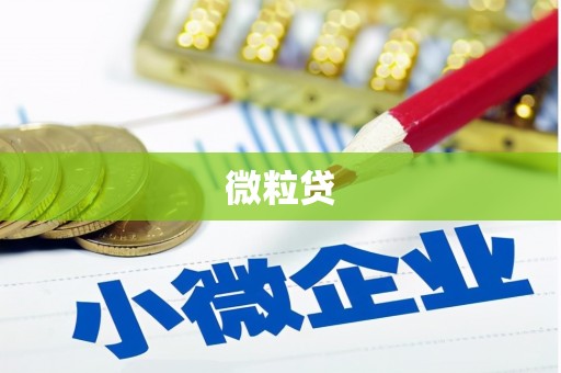 潍城微粒贷
