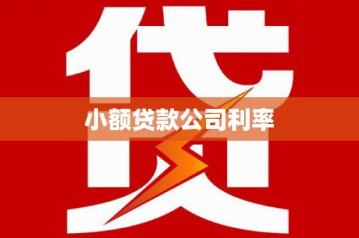 潍城小额贷款公司利率
