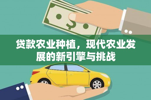 潍城贷款农业种植，现代农业发展的新引擎与挑战